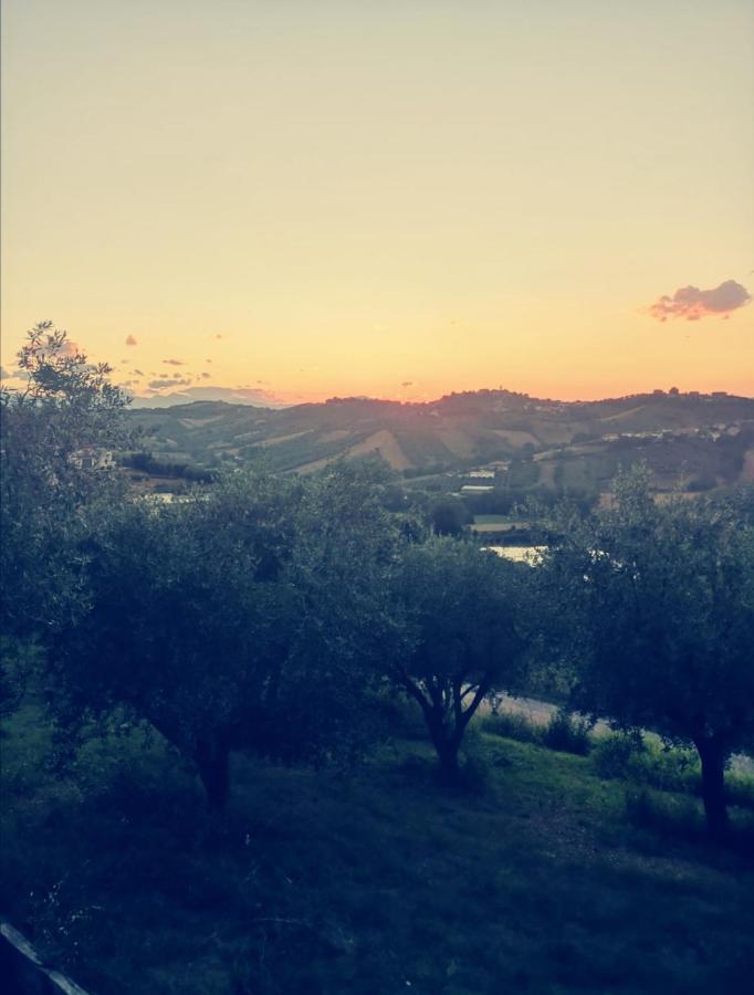 Country-House Pecora Nera ξενώνας Mosciano SantʼAngelo Εξωτερικό φωτογραφία