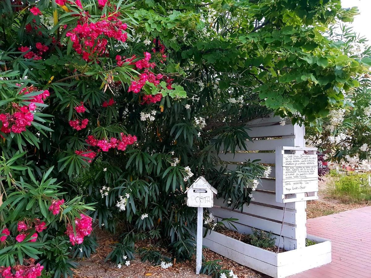 Country-House Pecora Nera ξενώνας Mosciano SantʼAngelo Εξωτερικό φωτογραφία