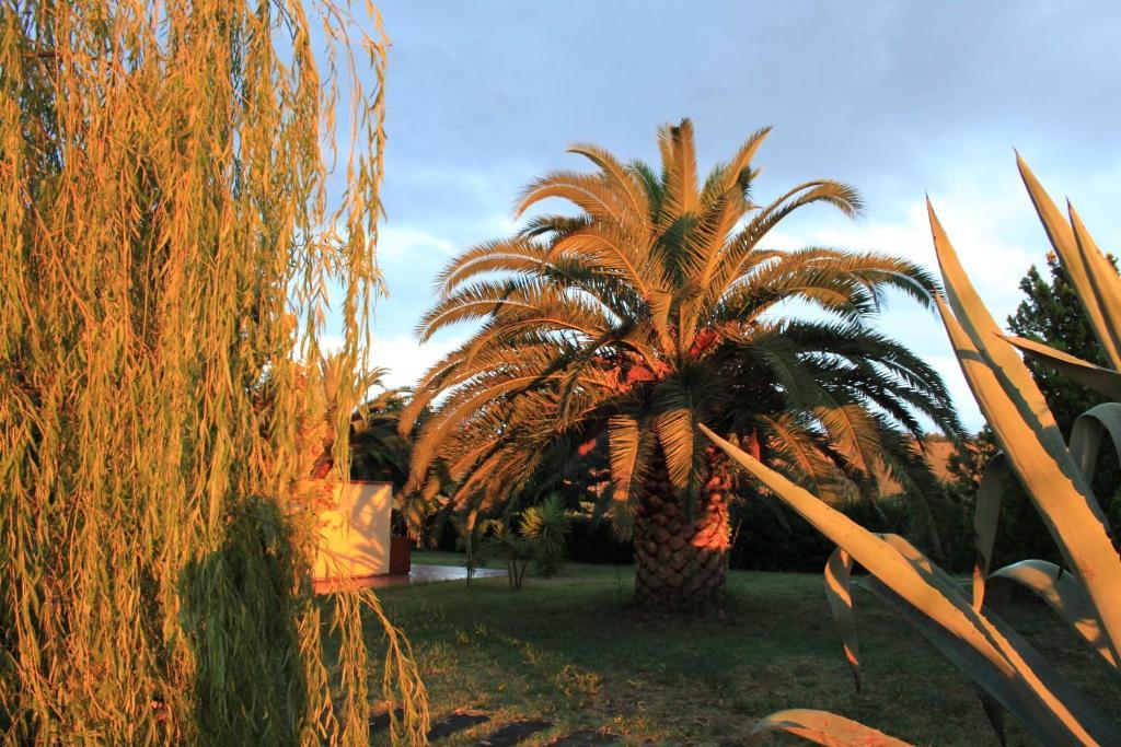 Country-House Pecora Nera ξενώνας Mosciano SantʼAngelo Εξωτερικό φωτογραφία