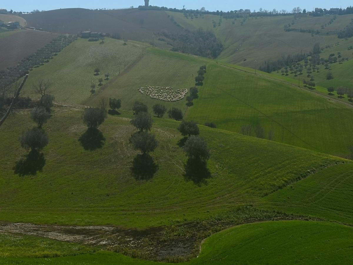 Country-House Pecora Nera ξενώνας Mosciano SantʼAngelo Εξωτερικό φωτογραφία