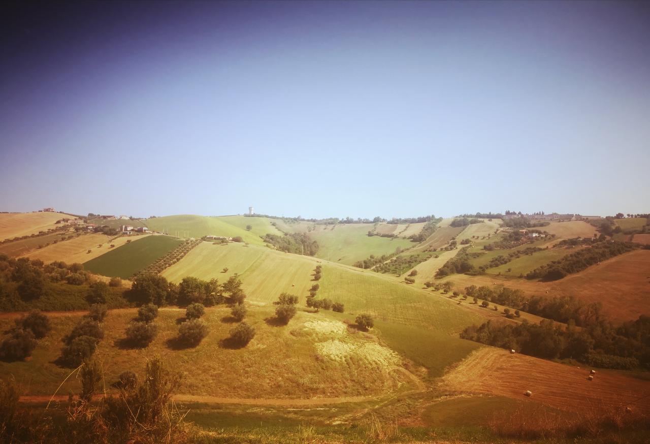 Country-House Pecora Nera ξενώνας Mosciano SantʼAngelo Εξωτερικό φωτογραφία